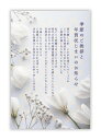 寒中見舞い(年賀状じまい文章)私製ハガキ 10枚入りパピレイ KAJ-402