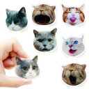 キャットヘッドアクリル冷蔵庫マグネット7個セット - キッチン、オフィスのホワイトボード、食器洗い機、収納キャビネットなどを装飾するためのパーソナライズされたマ...