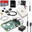 Vesiri Raspberry Pi 4B Starter KitŬ Raspberry Pi 4 Model B(RAM 4GB)/饺٥꡼ѥ4B/32GBMicroSD/5V 3A USB-Type-C ON/OFFåդŸץ/Micro HDMI֥饤/CAT6ͥåȥ֥