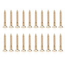 Musiclily Pro 3.5x25mm ギター/ベース・ブリッジ取り付け用皿頭 ビス、ゴールド(20本入)