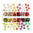 JYF.QUANYI 雪の結晶 紅葉 ホログラム カラフルスパンコール レジン ネイル 封入パーツ DIY ハンドメイド アクセサリーパーツ 手芸用 収納ケース付き (紅葉)