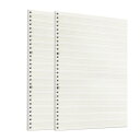 zelten 2 パック a 4 90 シート 180 ページ 4 ライン ルーズリーフ 用紙 30 穴 バインダ 手書き 練習 用紙 空白 ライティングページ...