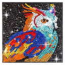 ダイヤモンドアート キット 初心者 フクロウ 鳥 ラインストーン アートキット 5D 全面貼り付け モザイク 絵画 手芸 ハンドメイド 暇つぶし きらきらぷんぷ...
