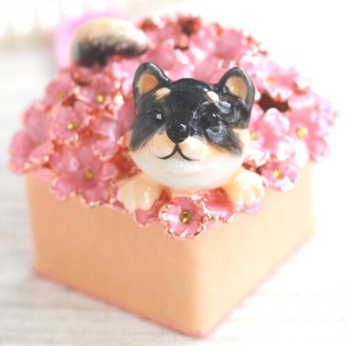 クリスタルジュエリーボックスのトップブランド ピィアース Piearth 柴犬のこてつ ジュエリーボックス ..