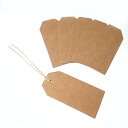 aoe DEPOT 商品 タグ + 紙製 紐 100 セット クラフト紙 白 の 2色 バリエーション (クラフト紙9.5cmx4.5cm)