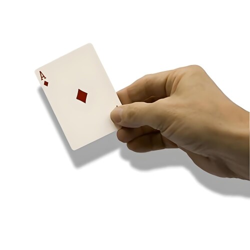 MilesMagic Magician's Deluxe Card Catcher Gimmick Cards Appear Produce from Hand Palm or Catching from Mid Air Magic Tri...