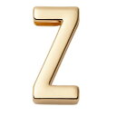 ZVE 英語Z文字 合金 ゴールド メタルチャーム 金具パーツ DIY用品 22mm 文字Z 一個