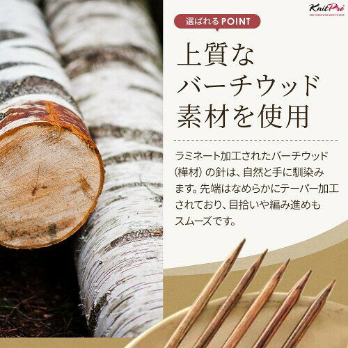 KnitPro Ginger 4インチ(10cm) 11サイズ 付け替え式輪針 リーガルセット ニットプロ ジンジャー 31282 高品質 編み物 手芸 almeria-secondstore-10901104 アルメリアセカンドストア サンプル画像3