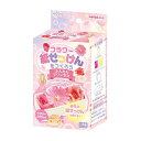 クツワ 工作 工作キット フラワー紙せっけん プリンセス PT194A