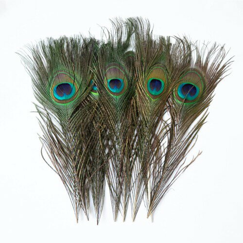 孔雀の羽根 目玉羽 23-33cm 10本セット｜装飾用・手芸・コスプレ・ドリームキャッチャー・フラワーアレ..