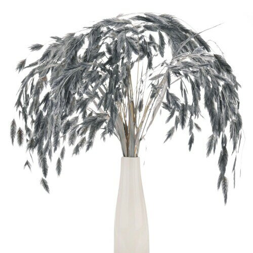 M METERXITY 20パックの乾燥した草束17" カスマンチウムドライフラワーブーケ花瓶用フィラー/ホームデ..