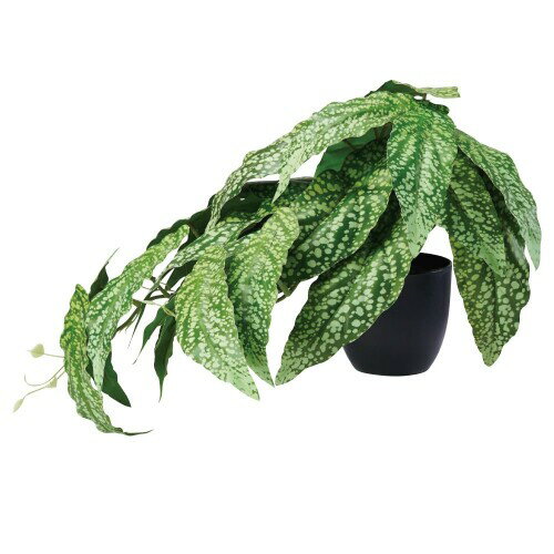 asca インテリアグリーン 黒ポット付 造花 アーティフィシャル 観葉植物 フェイクグリーン テーブルサイズ A-51103 (ベゴニア)