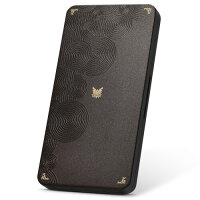 FUNLAB switch ソフトケース スイッチ専用 ソフト収納ケース 24枚スイッチカード&24枚SD メモリーカード 収納可能 ポケット PVE製 安全保護 持ち運び便利