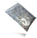 ラメ パウダー レインボー フレーク ホログラム グリッター カスタムペイント ジェル ネイル 等に使い易い 0.2mm (レインボーシルバー 0.6mm)