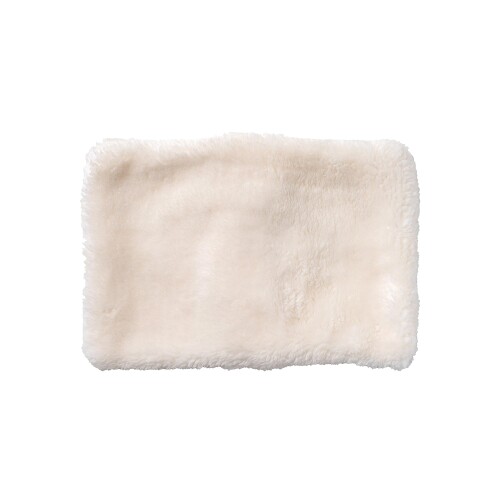 plusmore（プラスモア） 蓄熱式電気湯たんぽ PBAWA003 (IV（アイボリー）)