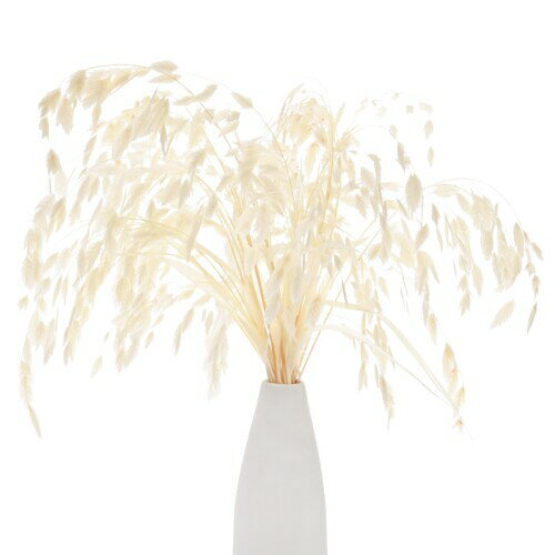 M METERXITY 20パックの乾燥した草束17" カスマンチウムドライフラワーブーケ花瓶用フィラー/ホームデ..