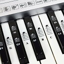 QMG ピアノとキーボードの音楽ノートピアノ曲の電子ブック付きの白と黒の鍵のフルセットステッカー。透明で取り外し可能アメリカ製(2)
