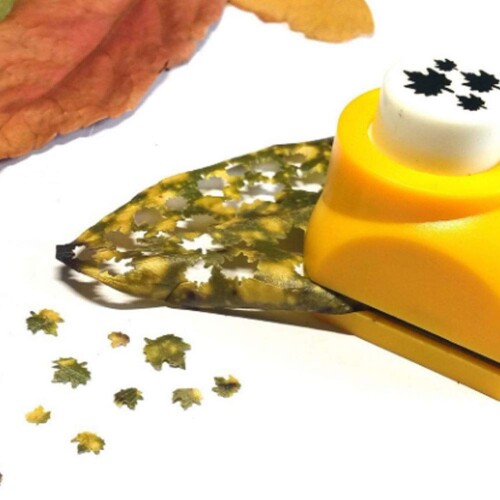紙パンチ クラフトパンチ リーフパンチ 穴あけパンチ ペーパーパンチ 葉のパンチミニクラフトパンチ 紙用パンチ 金型DIY 工芸パンチ 8枚の紙付き 省力 写真装飾 手芸 カード 学校 幼稚園 ハンドメイド作成道具 (カエデの葉) 【DIY愛好家】このおもちゃは、紙のスクラップブッキングに適しているため、自分だけのオリジナルクラフトを作ることができます。DIYクラフト愛好家にも最適で、美しく独創的な作品を作成することができます。 【8枚の紙が付属】このおもちゃには、8枚の紙が付属しており、使いやすい設計となっています。DIY愛好家や子供たちにも扱いやすく、創造的な遊びができるため、楽しさが倍増します。 【美しい木の葉の模様】このおもちゃの美しい木の葉の模様は、子供たちが安心して使うことができます。また、ペーパーカードクラフトにも最適で、子供たちが自分だけのオリジナルカードを作ることができます。創造力を刺激し、様々なアイデアを発揮できるおもちゃとして、大人からも支持されています。 【高品質素材】このおもちゃは、高品質素材で作られており、長期間使用しても耐久性があり、子供が遊んでも安心して使用することができます。また、安全性も配慮されており、子供にも安心のおもちゃとなっています。 【想像力を刺激し実践能力を向上】このおもちゃは、想像力を刺激し、実践能力を向上させる素敵な贈り物となっています。子供たちが自由にアイデアを出し、創造的に遊ぶことができるため、脳を刺激する効果が期待できます。 商品コード57081170853商品名紙パンチ クラフトパンチ リーフパンチ 穴あけパンチ ペーパーパンチ 葉のパンチミニクラフトパンチ 紙用パンチ 金型DIY 工芸パンチ 8枚の紙付き 省力 写真装飾 手芸 カード 学校 幼稚園 ハンドメイド作成道具 (カエデの葉)型番Jeffergarden37a6qrhp8o-11カラーイエロー※他モールでも併売しているため、タイミングによって在庫切れの可能性がございます。その際は、別途ご連絡させていただきます。※他モールでも併売しているため、タイミングによって在庫切れの可能性がございます。その際は、別途ご連絡させていただきます。
