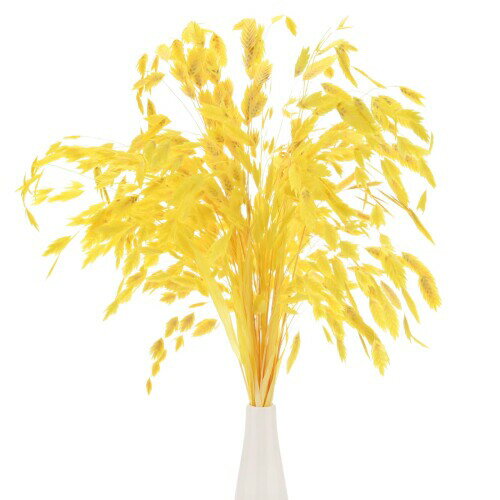 M METERXITY 20パックの乾燥した草束17" カスマンチウムドライフラワーブーケ花瓶用フィラー/ホームデ..