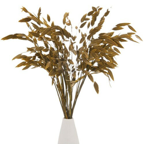 M METERXITY 20個入りのドライグラスバンドル17インチのカスマンチウムドライフラワーブーケ 花瓶のフ..