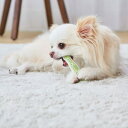 ペティオ (Petio) 犬用おもちゃ かんでるボーン デンタル SS ソフト