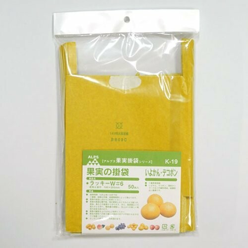 一色本店 果実袋いよ