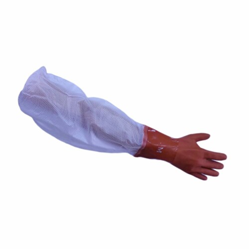 (Ųع) ߥ ȼ 餫 No.5 M 