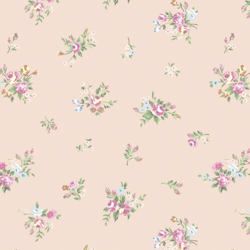  åԥ󥰥ڡѡ 49-1501  ǥ ȾȽ 50