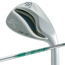 キャスコ ドルフィンウェッジ DW-123 N.S.PRO 950GH neo WEDGE 58 シルバー