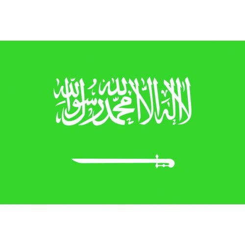 東京製旗 国旗No.1(70×105cm) サウジアラビア 416302 東京製旗 国旗No.1(70×105cm) サウジアラビア 416302