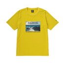 ダイワ(DAIWA) DE-6123 08335012 スモークイエロー WL