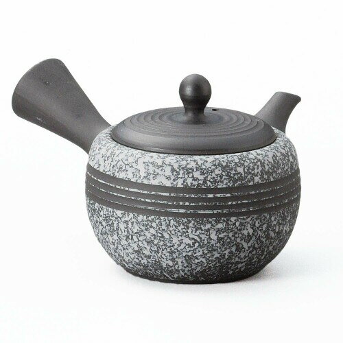 常滑焼 柏陽 小丸 急須 黒泥 ライン Y865