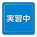 ユニット(Unit) ユニピタ 実習中 小サイズ 849-84