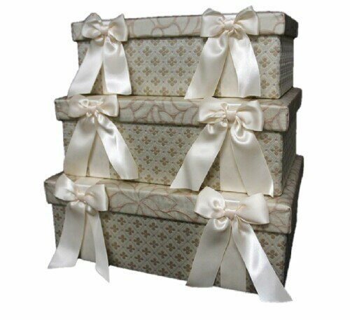 ジェニファーテイラー Jennifer Taylor カルトナージュ 収納 小物入れ エステ ネイル サロン コスメ メイク Lumina ルミナ 32021B...