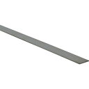 トラスコ中山(TRUSCO) ステンレス フラットバー 2×30×1000mm SUS304 SH-2×30-1000