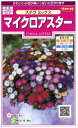 サカタのタネ 実咲花5040 マイクロアスターステラ ミックス 00905040-01