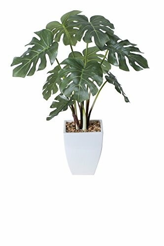 アートクリエイション(Art Creation) 光触媒 人工観葉植物 光の楽園 モンステラポット 433A60
