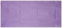 アスカタオル(Aska Towel) 「 サラッとドライ フェイスタオル」 パープル 40cm×90cm 光触媒マイクロファイバー アスカタオル 抗菌・消臭タオル 2S-PPL