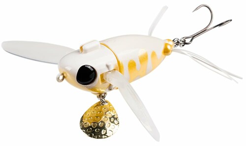 å(JACKALL) ʥ 顼 եȥ꡼