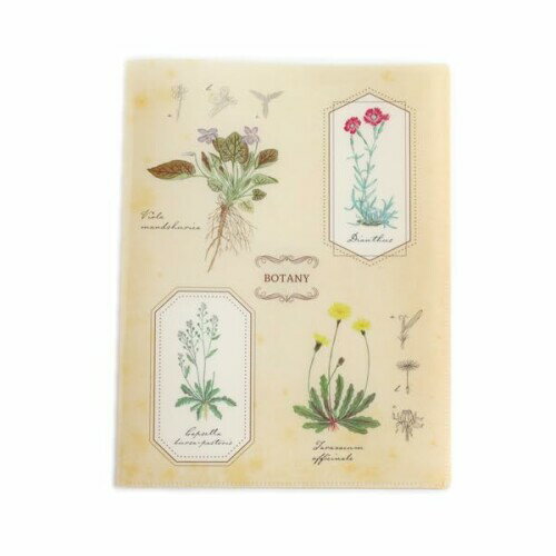 グリーンフラッシュ ファイル STUDY HOLIC A4 クリアブックファイル 植物学 ST-248