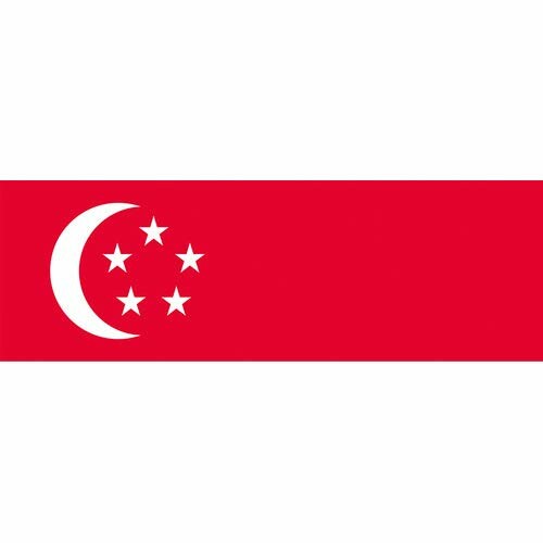 東京製旗 国旗No．1（70×105cm） シンガポ-ル 416326