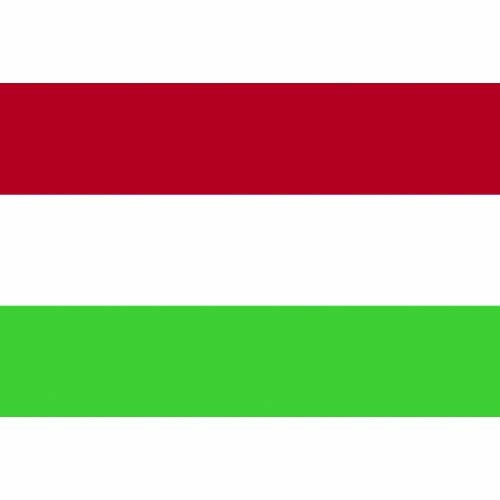 東京製旗 国旗No．1（70×105cm） ハンガリー 416614