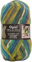 Opal オパール ソックヤーン 毛糸 『Hundertwasser (フンデルトヴァッサー) 1433番色』