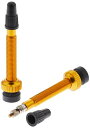 XON(エックスオン)XVC-09 チューブレスバルブ 45mm ゴールド(2個セット)
