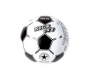リブライト 東京ローソク ビーチボール 35cm サッカー