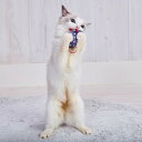 ペティオ (Petio) 猫用おもちゃ ワイルドマウス チュ〜チュ〜NOISYパニック スターマウス