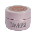 PREGEL Muse カラージェル クラッシービスチェ 3g PGU-S1081