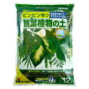 花ごころ 観葉植物の土 マグネシウム配合 12L
