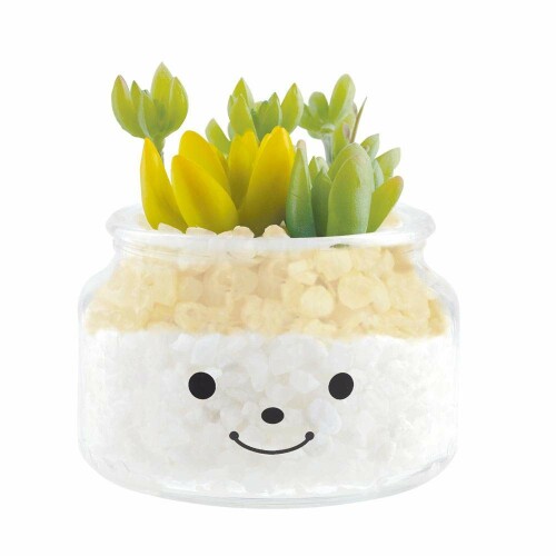 キシマ(Kishima) 人工観葉植物 グリーン 10[ファイ]×11.5Hcm