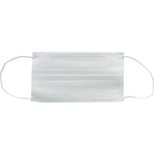 (トラスコ中山) 作業用マスク（耳掛けタイプ） 2層 （100枚入） TEM2L-100